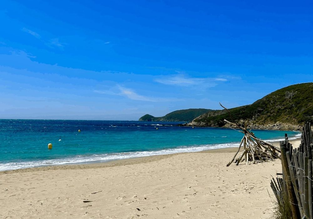 Côtes sauvages du cap Lardier et eaux cristallines lors d’une excursion nature en mer