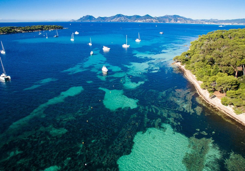 Excursion en mer vers l’archipel de Lérins à la découverte d’un patrimoine insulaire préservé