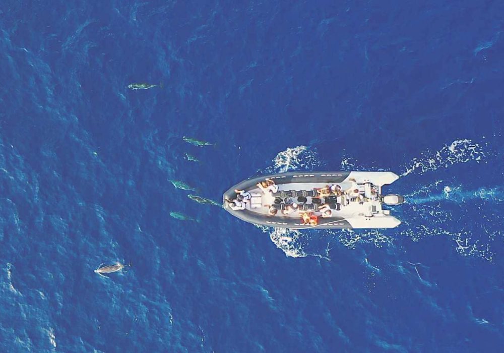 Phase de recherche et d’observation des cétacés en Méditerranée depuis un bateau