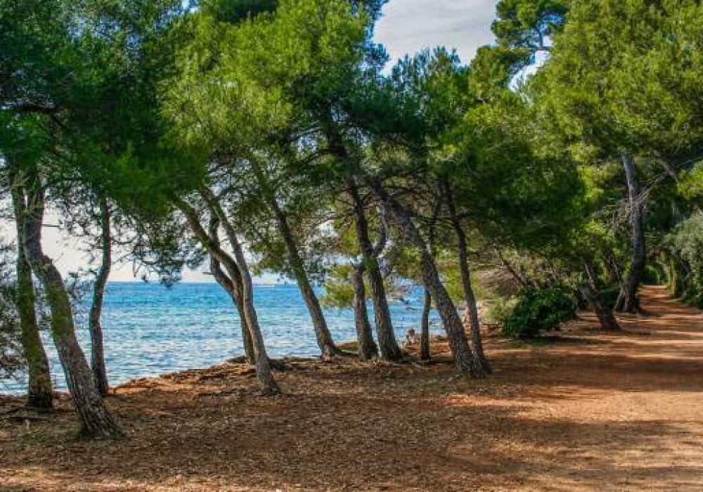 Promenade paisible sur les sentiers naturels de l’île Saint-Honorat