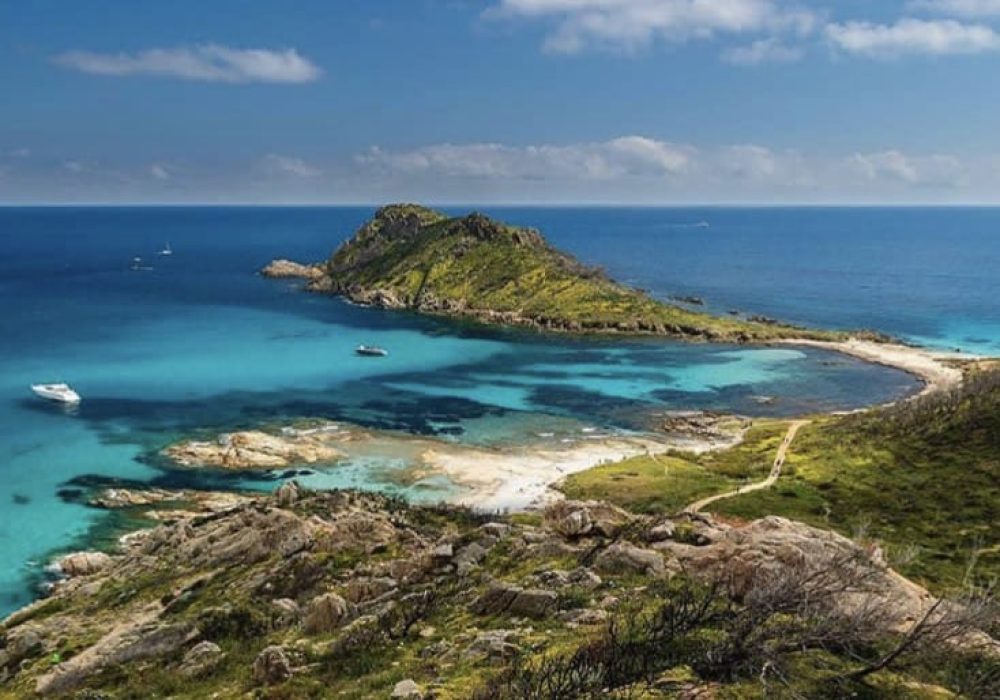 Snorkeling dans les eaux claires du cap Lardier lors d’une excursion nature